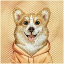 NIMMY futerał GENTLE PETS SERIES DOG kompatybilny z MagSafe do IPHONE 17 Pro Max pomarańczowy