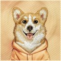 NIMMY futerał GENTLE PETS SERIES DOG kompatybilny z MagSafe do IPHONE 17 Pro pomarańczowy